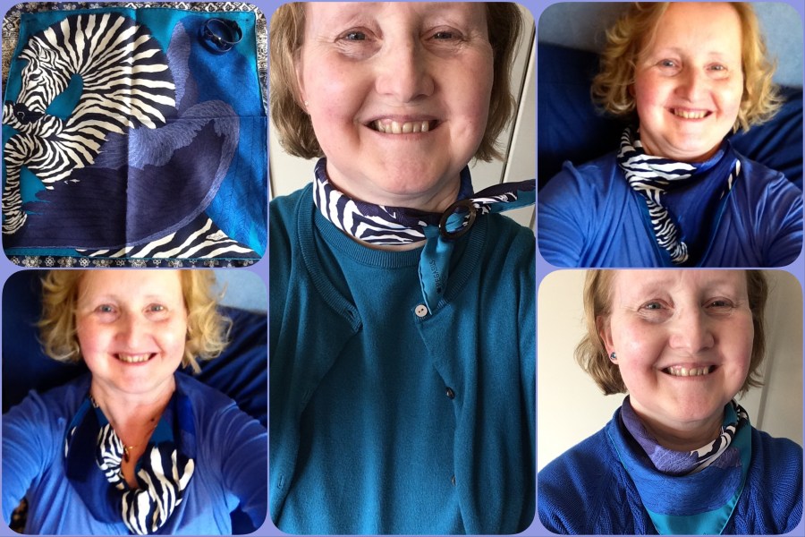 Zebra Pegasus gavroche - Hermès - collage #02