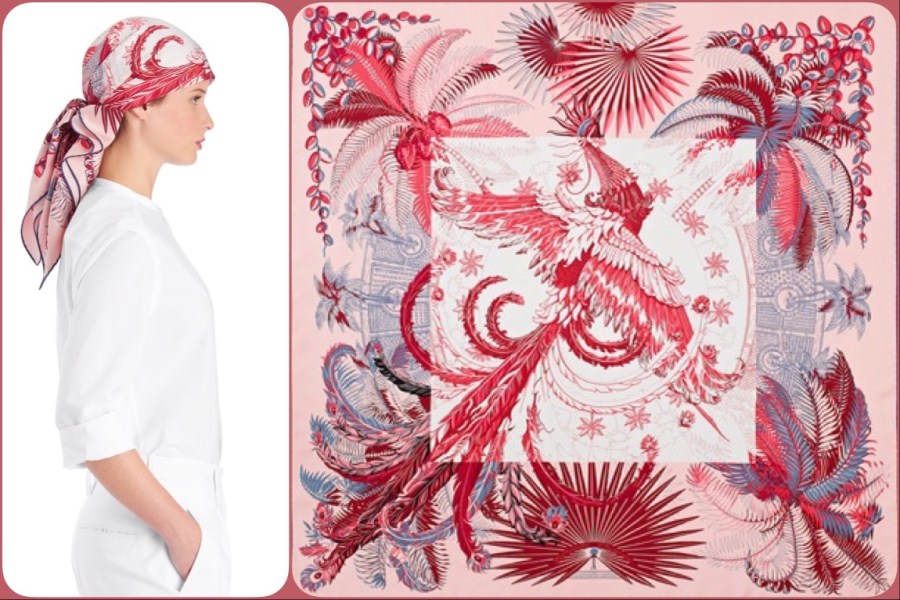 Mythiques Phoenix Coloriage by Laurence Bourthoumieux for Hermès