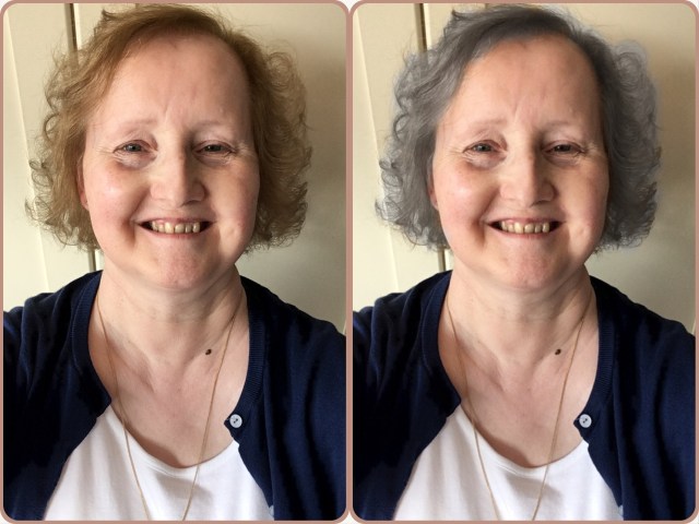 The Librain and the Librain?