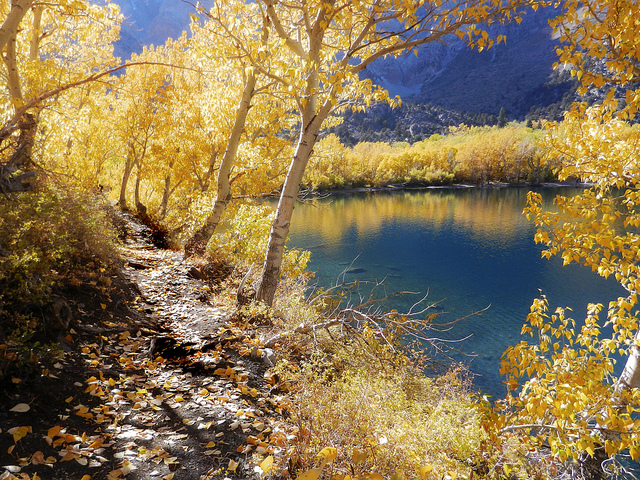 A Good Day for a Walk Along the Shore by Steve Corey