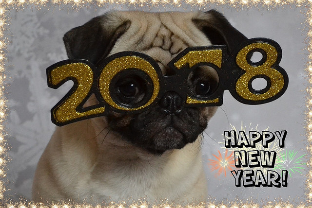Happy New Year! by DaPuglet on Flickr