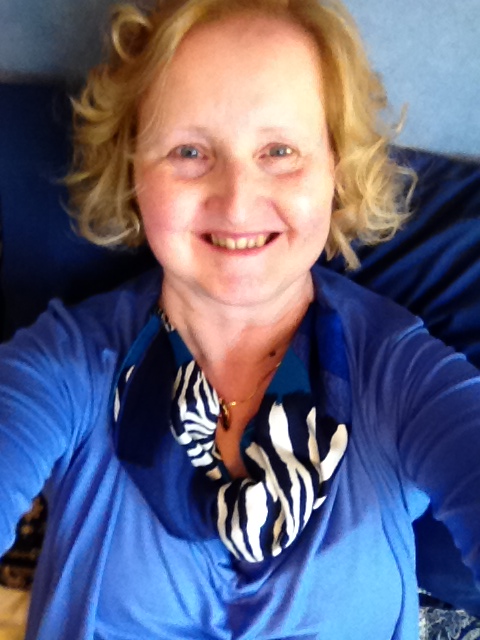 Hermès Zebra Pegasus gavroche