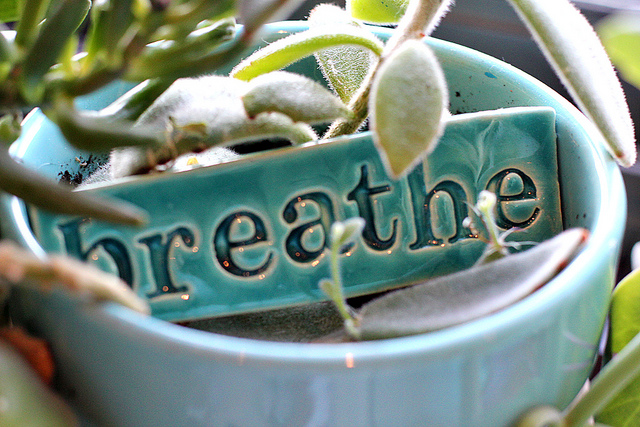 breathe | friday morning by Mae Chevrette on Flickr